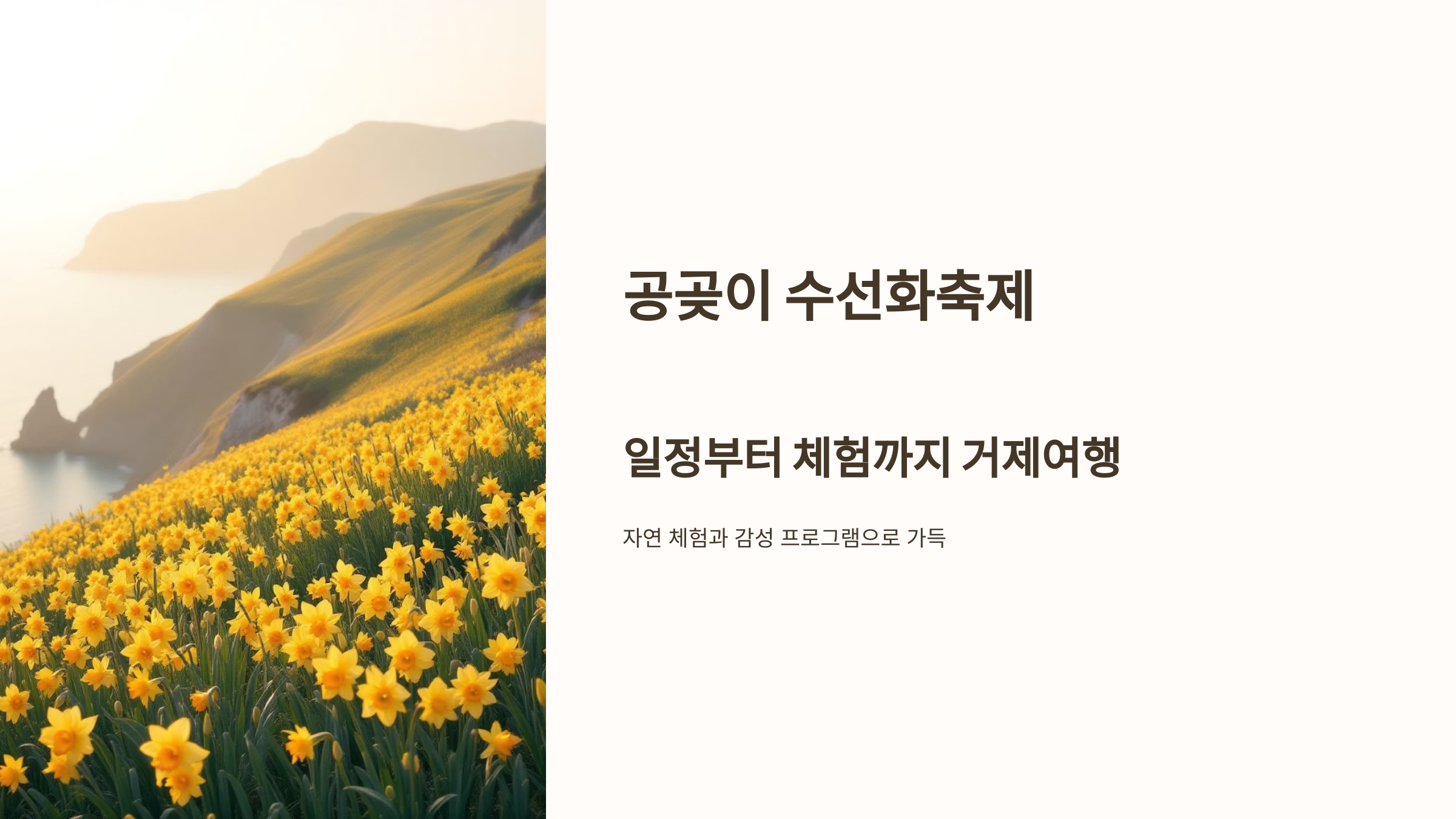 공곶이 수선화축제 거제여행