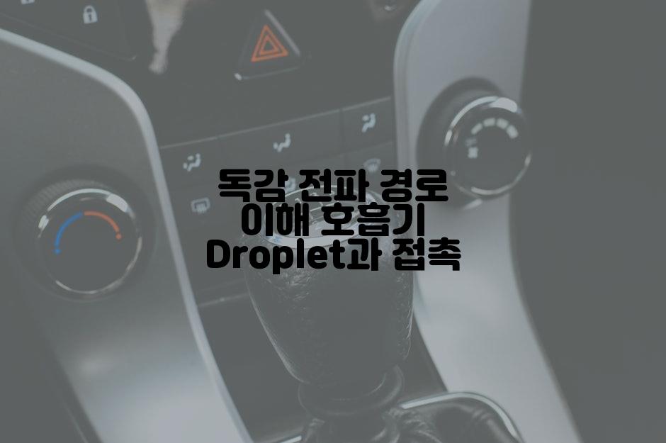 독감 전파 경로 이해 호흡기 Droplet과 접촉