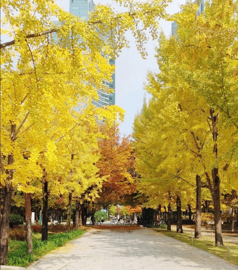  11월 위드코로나 단계적 일상회복을 위한 거리두기 1차 개편내용