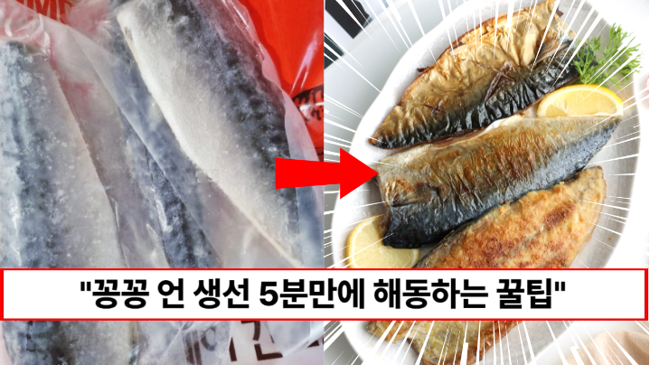 “냉동실 속 생선은 이렇게 해동해야 합니다” 돌처럼 얼어있던 생선 5분만에 해동하는 방법 (+맛있게 굽는 꿀팁)