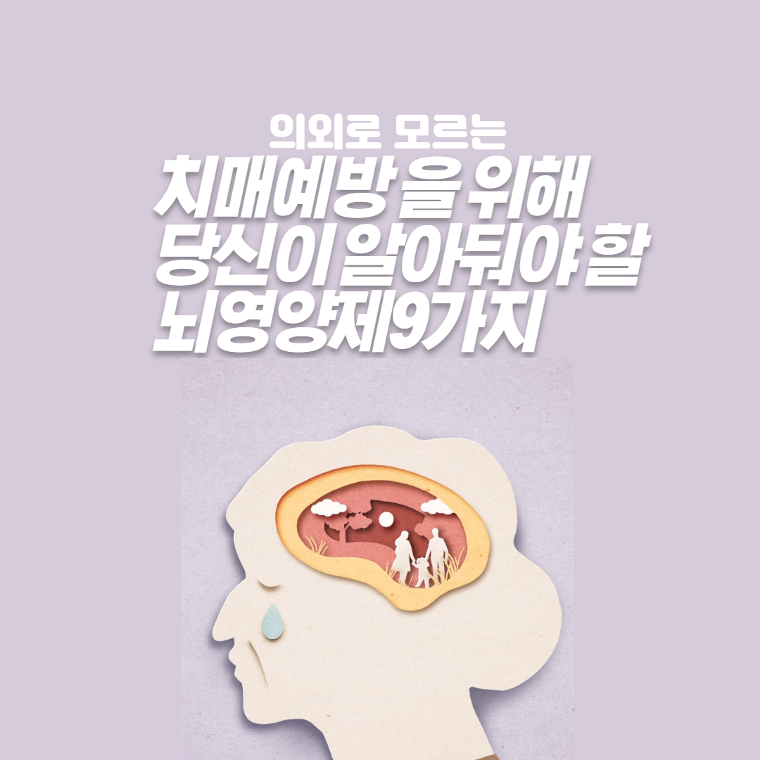 치매예방,뇌영양제