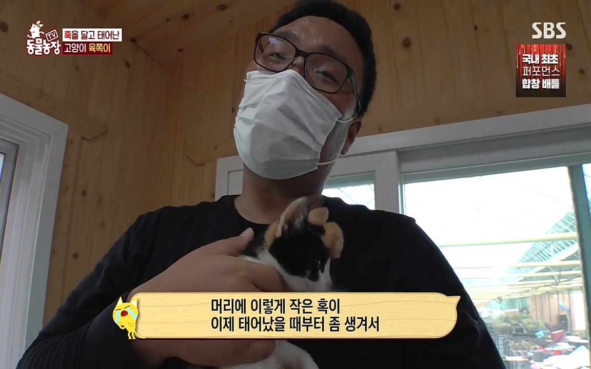 TV 동물농장.E1087.220919p-NEXT.mp4_20220918_180230.553.jpg