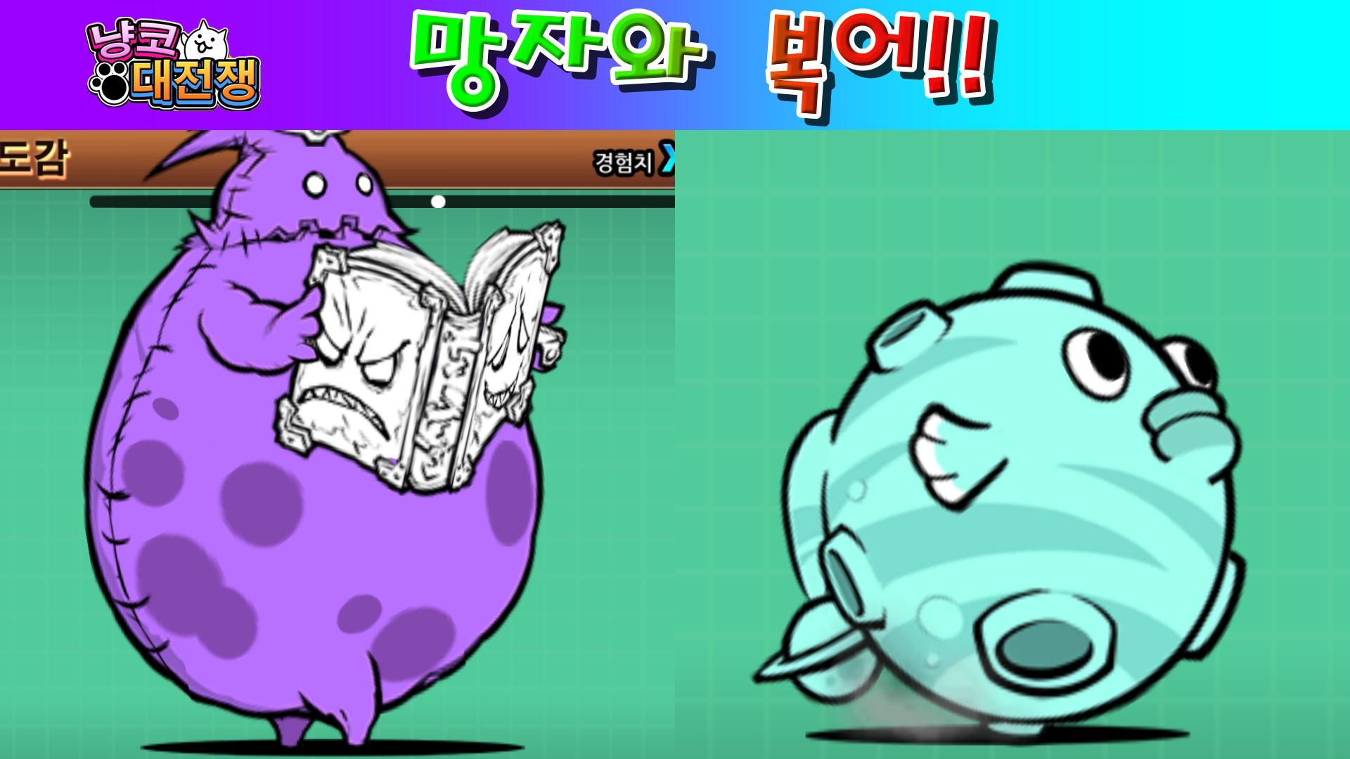  냥코대전쟁 망자와 복어 망자의 행진 극난도, 리버 피그 플래닛 초극난도