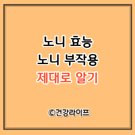 노니 효능 노니 부작용