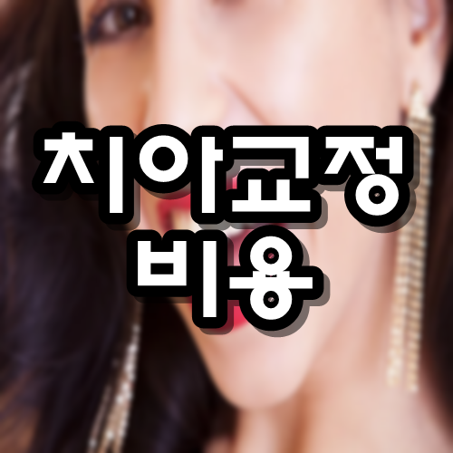  치아교정 비용