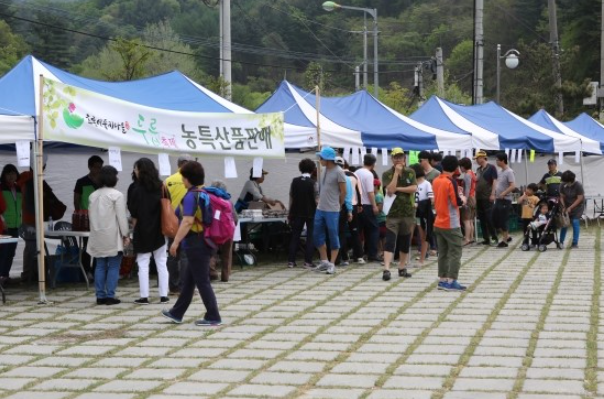 두릅축제