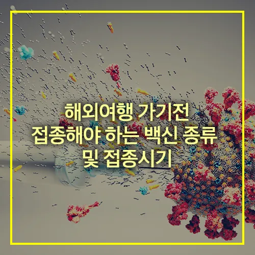 해외여행 전 접종 백신