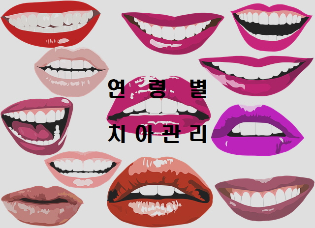  노다지네 잡학다식