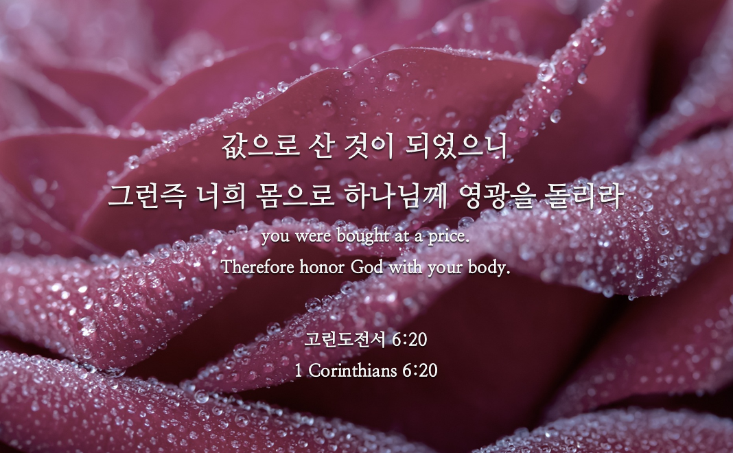 [오늘의 말씀] 고린도전서 6장 1