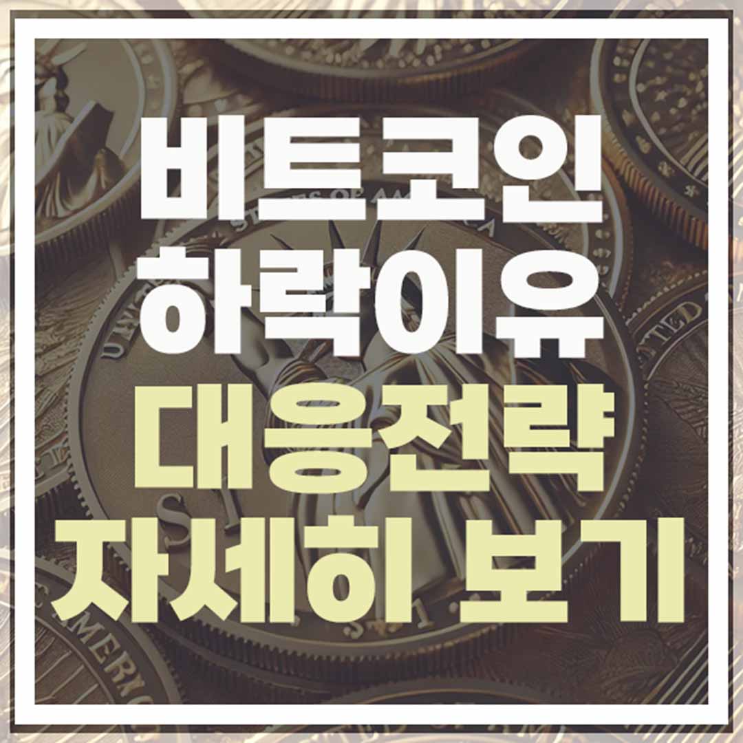 비트코인 시세