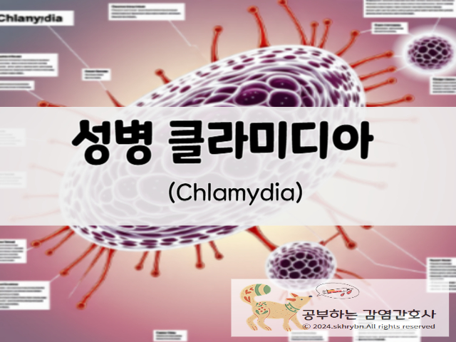 병 클라미디아(Chlamydia)의 원인 및 증상 전파 경로, 치료 완치
