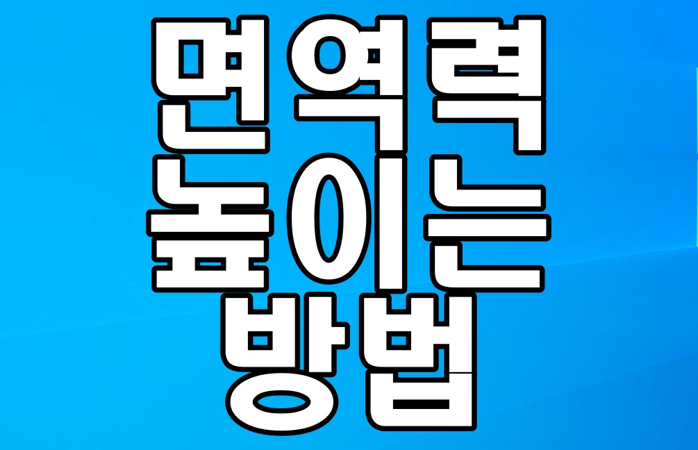  면역력 높이는 방법 7가지