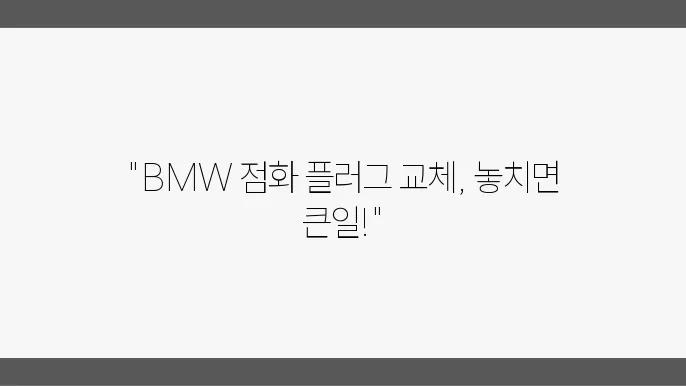 BMW 점화 플러그 교체 시 유의사항: 전문가의 팁