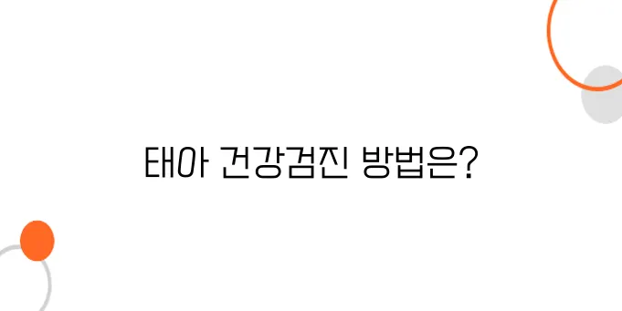 임산부 건강검진 지원 – 태아 건강까지 체크 가능한 검진 항목