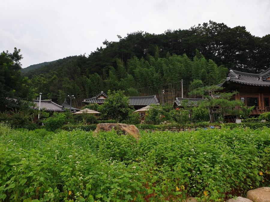 '곡성