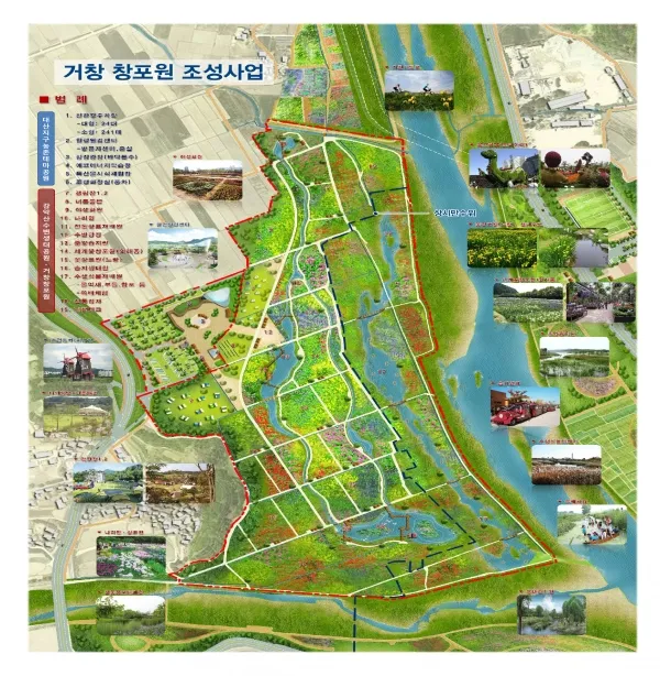 거창 창포원 노랑꽃창포 만개 시기와 관람 포인트_1