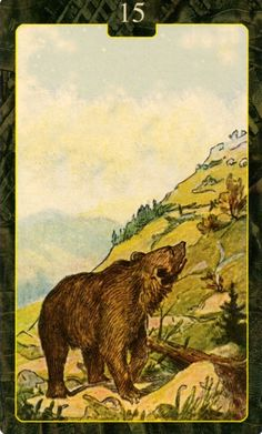  [레노먼드카드배우기]15.Bear 곰 해석 및 의미