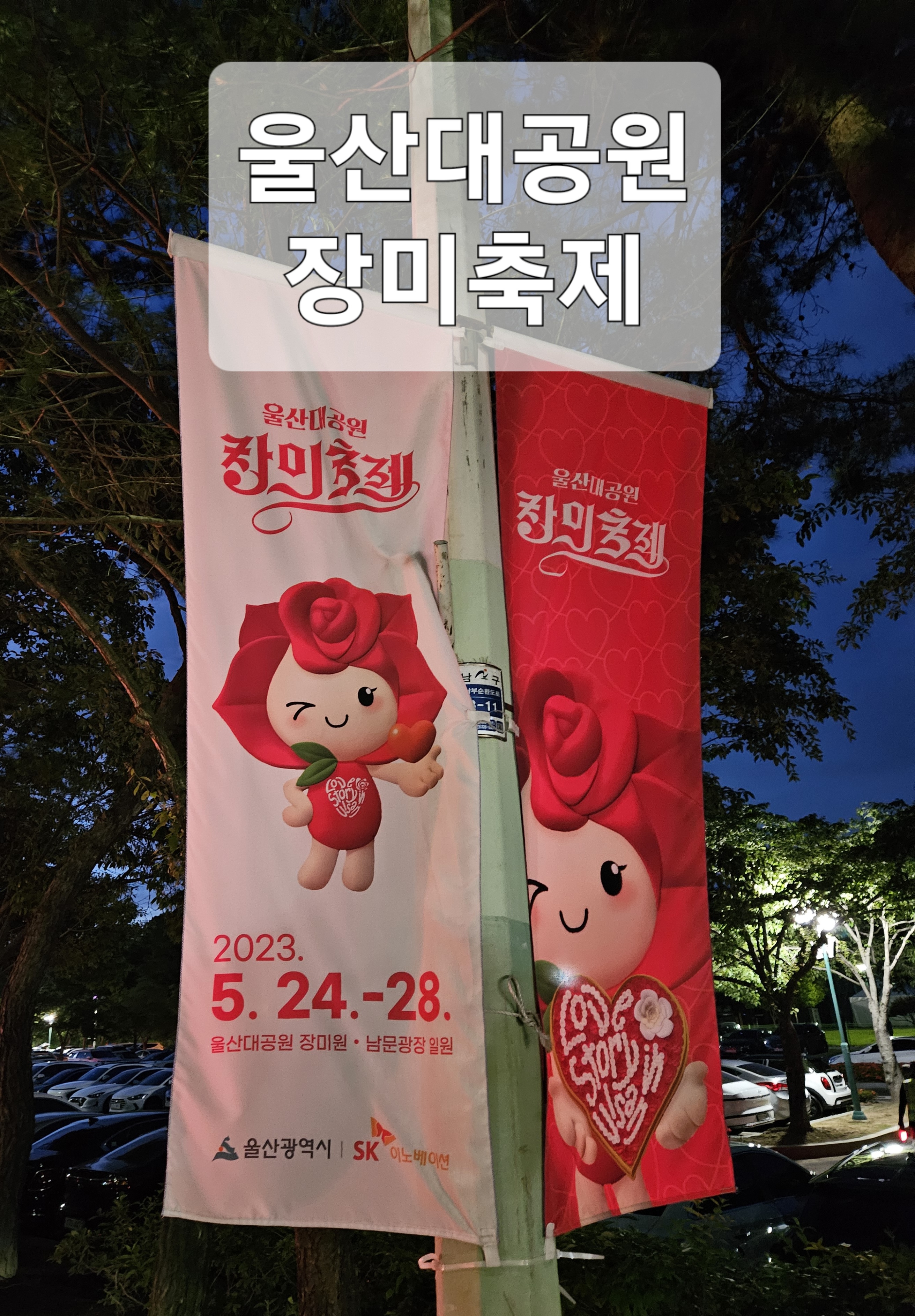  아름다운 장미로 수놓은 울산대공원 장미축제 후기