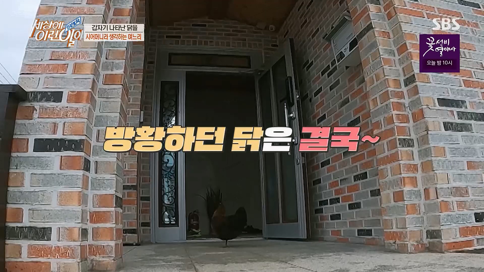 순간포착 세상에 이런일이.E1222.230321p.H264-F1RST..mp4_20230322_200959.010.jpg