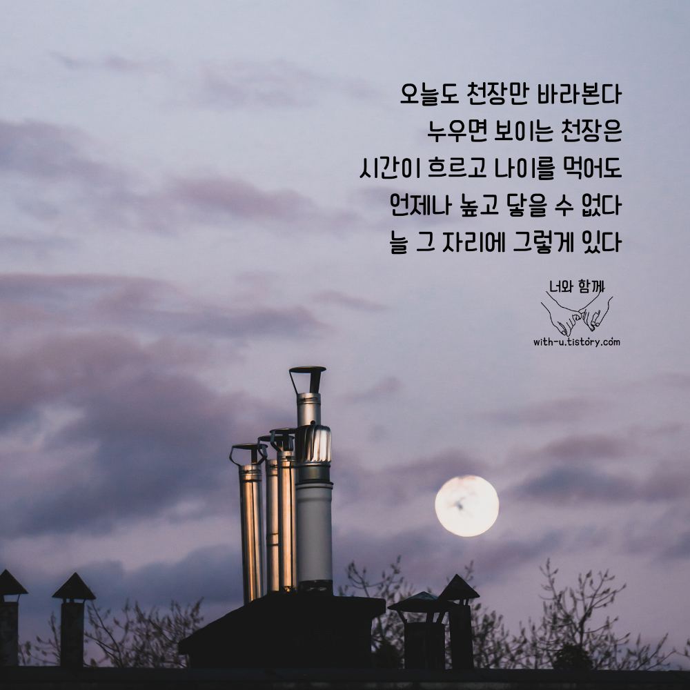  천장 명언 : 짧고 좋은 글귀 : 짧은 명언