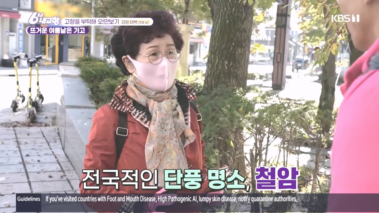 6시 내고향.E7897.231025p.H264-F1RST.mp4_20231025_202910.677.jpg