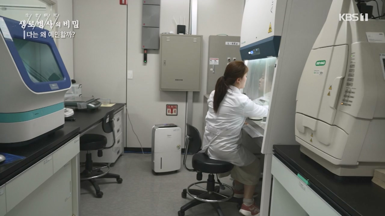 생로병사의 비밀.E879.230817p-NEXT.mp4_20230817_205236.113.jpg