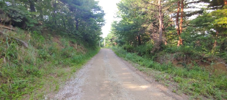 제진검문소 - 통일전망대 출입신고소 해파랑길 50코스 : 3