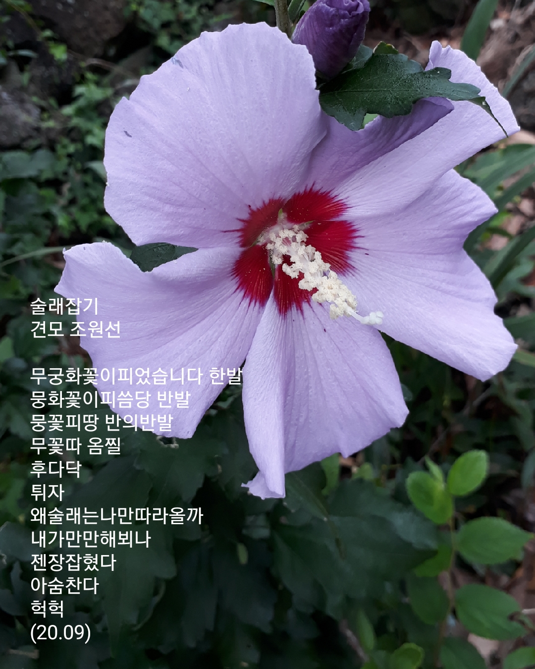 술래잡기 이미지