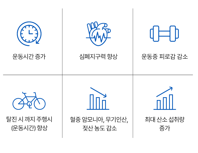 2023 마놀로지 컷 파란통 다이어트 후기!  요약
