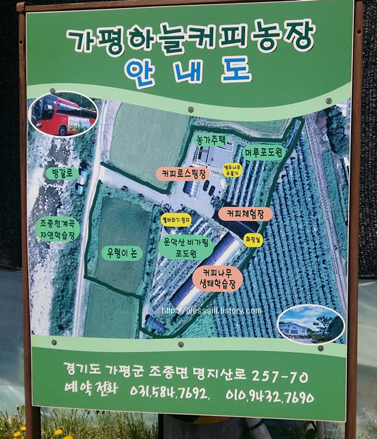 가평하늘커피농장 이미지