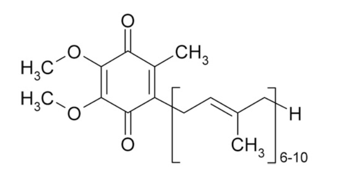 코엔자임 Q10 구조 