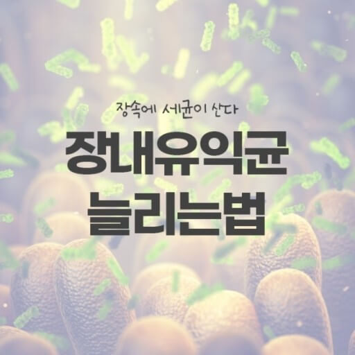 유익균 늘리기
