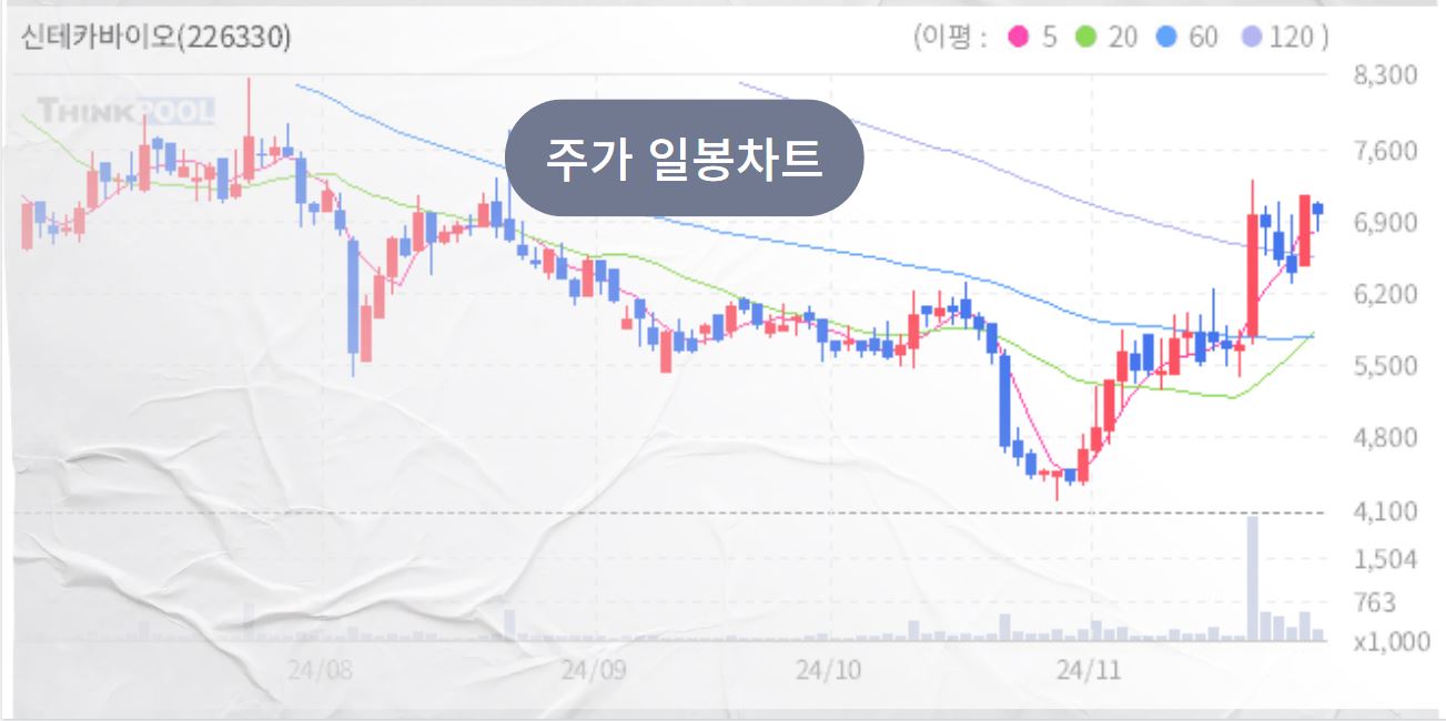 의료 AI 관련주, 이젠 의료도 AI시대, 테마주와 대장주 TOP7 - 신테카바이오 의료AI 대장주 테마주 의료 AI 관련주, 이젠 의료도 AI시대, 테마주와 대장주 TOP7 - 신테카바이오 의료AI 대장주 테마주