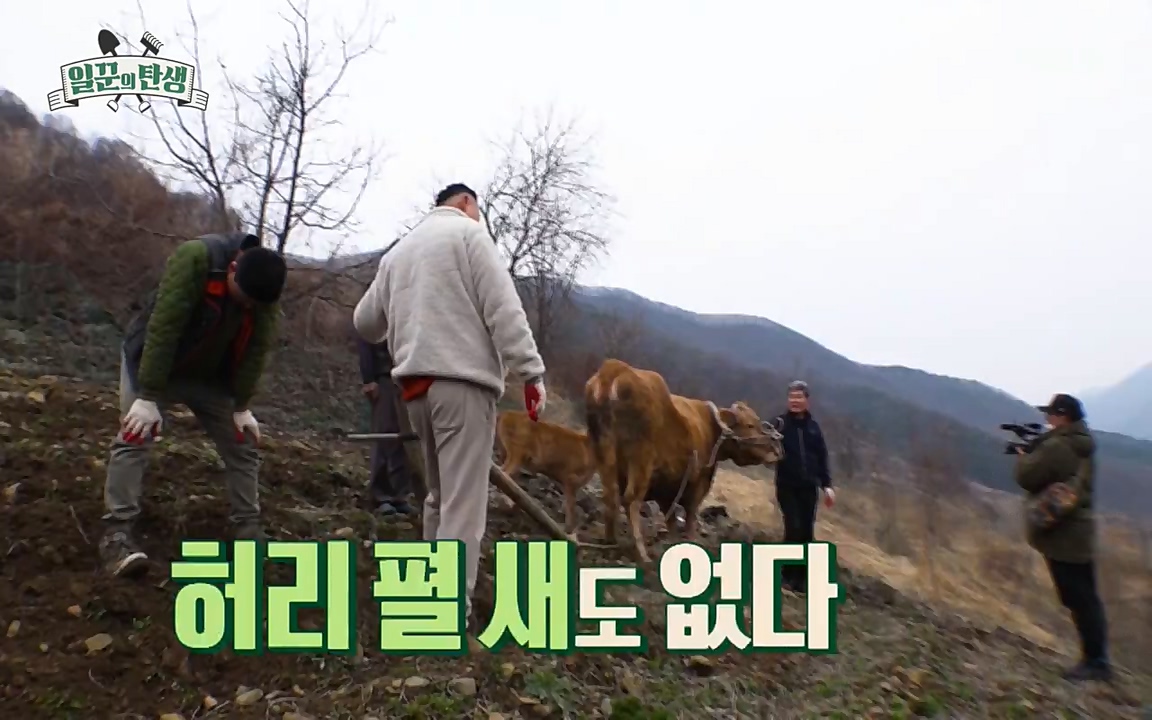 일꾼의 탄생.E19.220414p-NEXT.mp4_20220414_185143.408.jpg