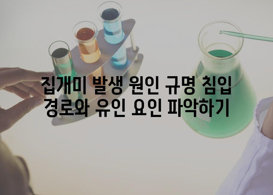 집개미 발생 원인 규명 침입 경로와 유인 요인 파악하기