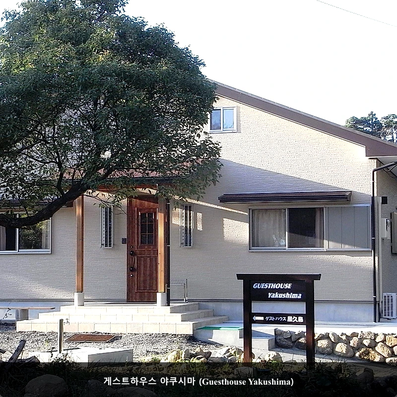 게스트하우스 야쿠시마 (Guesthouse Yakushima)_1