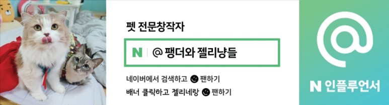 샴 고양이 털빠짐 샴고양이 종류와 7