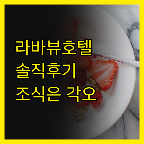 라바 뷰 로지 호텔 솔직 후기! 화산