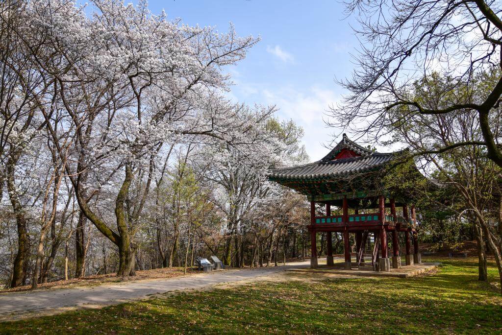 낙화암 - 삼천궁녀 전설의 현장 가슴 아픈 역사가 깃든 절벽