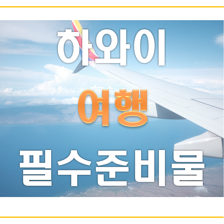  하와이 여행 : 필수 준비물