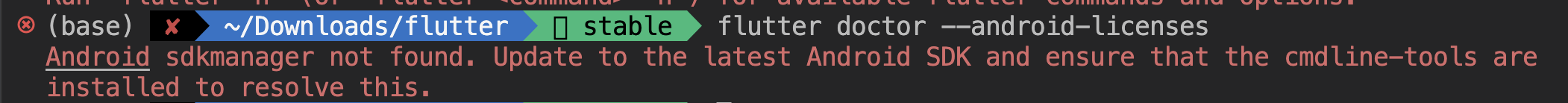 flutter doctor --android-licenses error