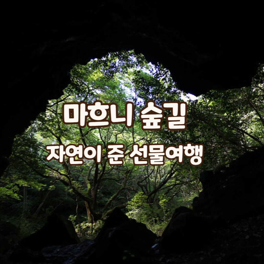 마흐니숲길