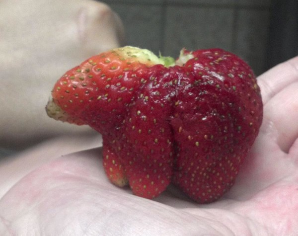 img.jpg