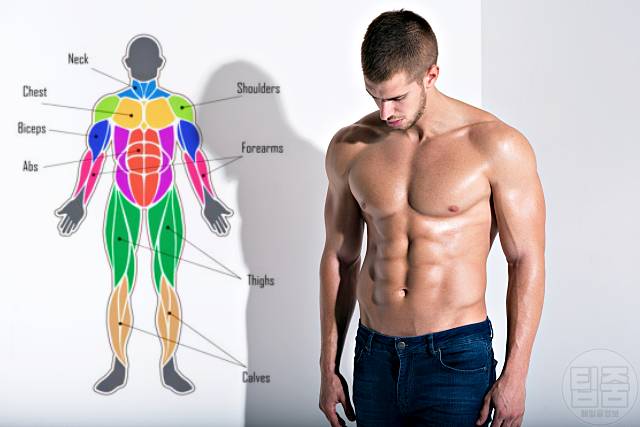 남자 홈트 추천 맨몸운동 홈트루틴 부위별 근력운동
