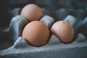 삶은계란 칼로리 효능 다이어트 🍳 - 🥚계란의 효능 - 심장 건강 삶은계란 칼로리 효능 다이어트