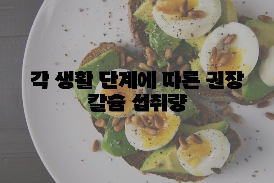 각 생활 단계에 따른 권장 칼슘 섭취량