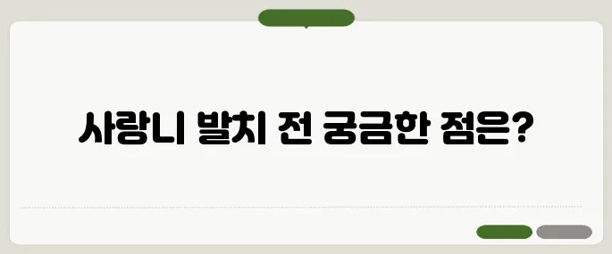 사랑니 발치 전 꼭 알아야 할 정보