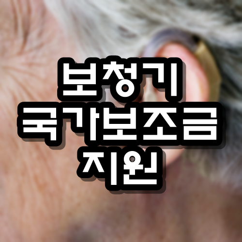 보청기 국가보조금지원