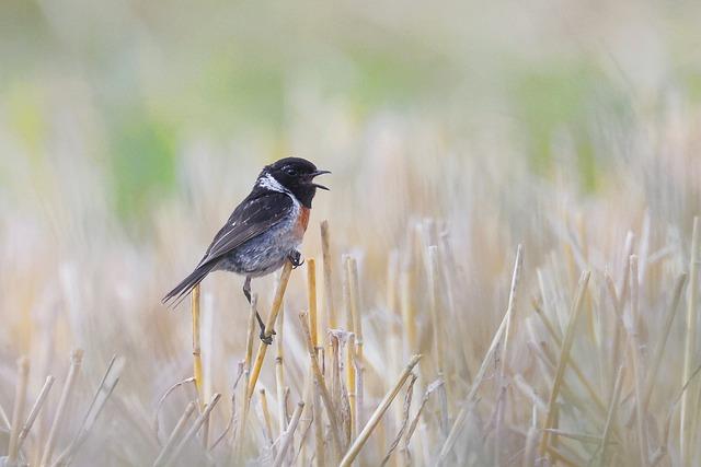즐거운 한가위 인사말: 행복 가득한 명절을 위한 문구