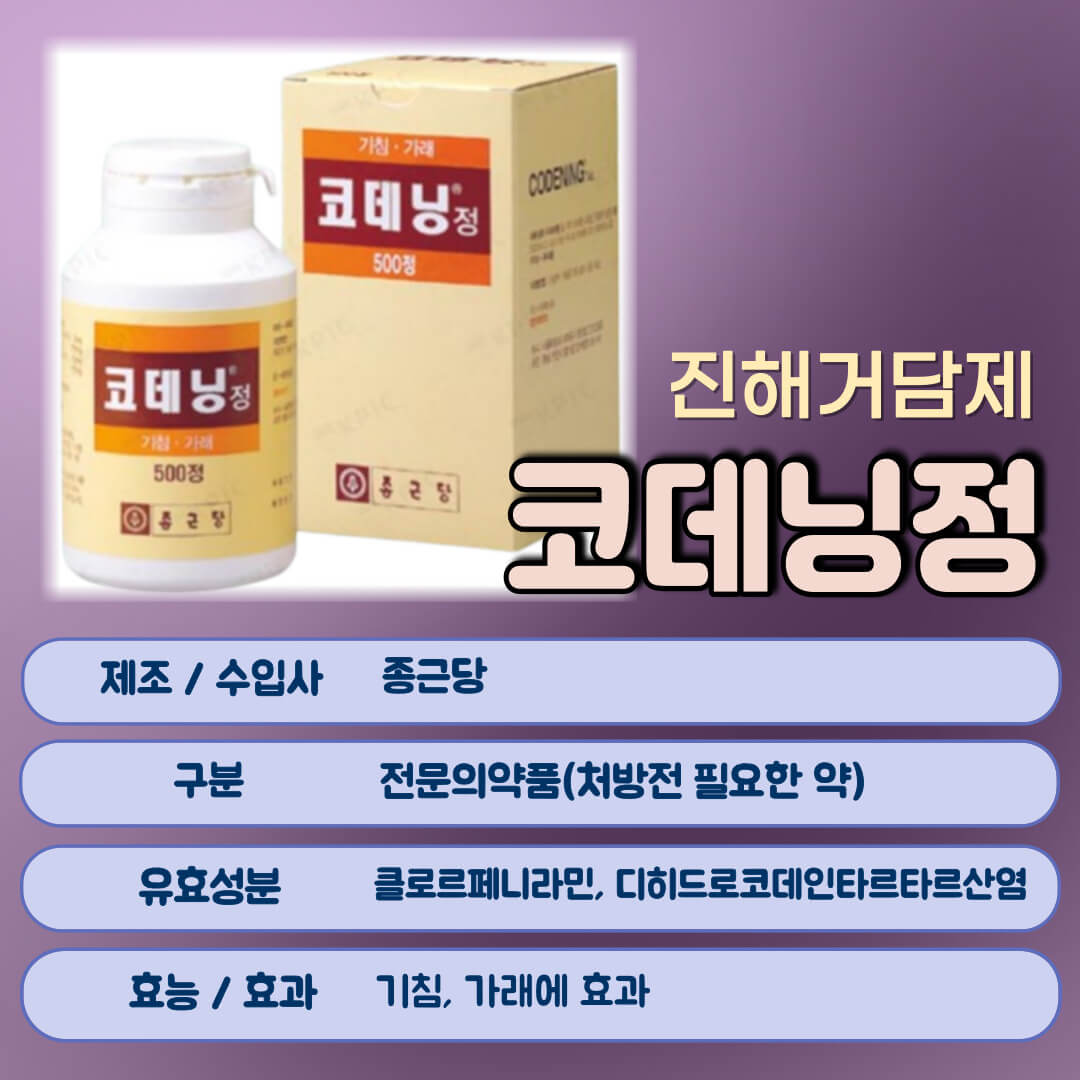 코데닝정이란